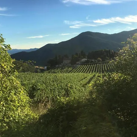 Historic Tuscan